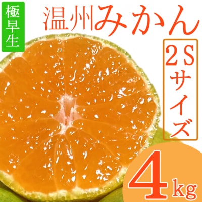 極早生温州みかん 2Sサイズ 4kg 