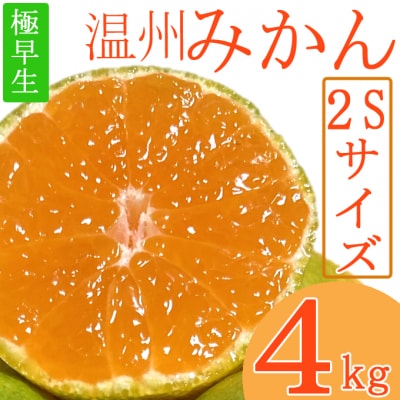 極早生温州みかん　2Sサイズ　4kg　
