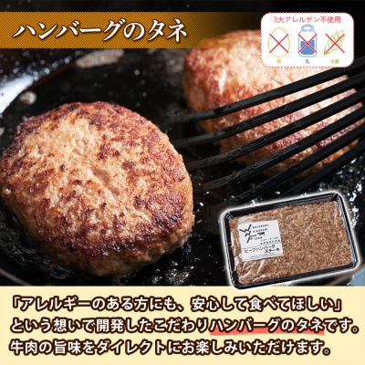 北海道 ビーフ ハンバーグステーキのたね 500g おうちで作れる 十勝 士幌【W07】