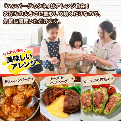 北海道 ビーフ ハンバーグステーキのたね 500g おうちで作れる 十勝 士幌【W07】