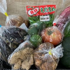 道の駅たかねざわ 元気あっぷむら 高根沢産旬の野菜BOX(7～10種類)