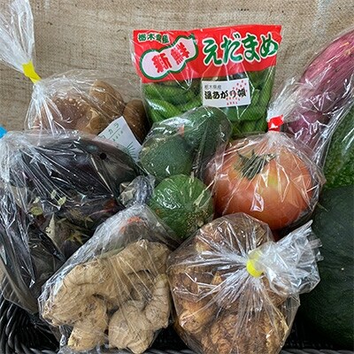 道の駅たかねざわ 元気あっぷむら 高根沢産旬の野菜BOX(7~10種類)