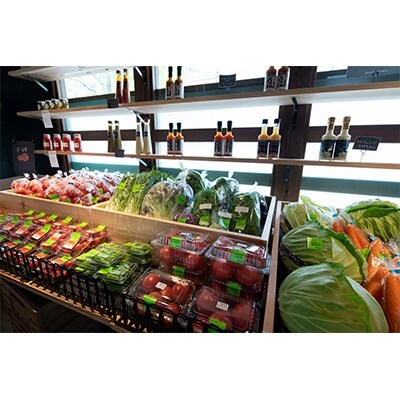 道の駅たかねざわ 元気あっぷむら 高根沢産旬の野菜BOX(7~10種類)