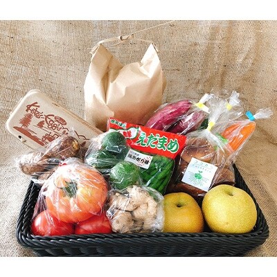 道の駅たかねざわ元気あっぷむら 元気モリモリ農産物BOX(旬の野菜、卵、お米「とちぎの星(玄米)」)