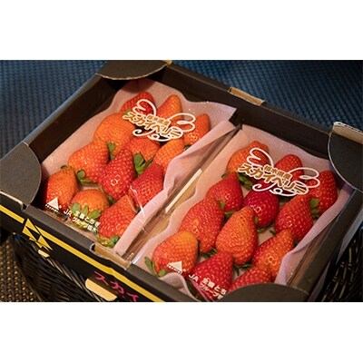 道の駅たかねざわ元気あっぷむら 元気モリモリ農産物BOX(旬の野菜、卵、お米「とちぎの星(玄米)」)