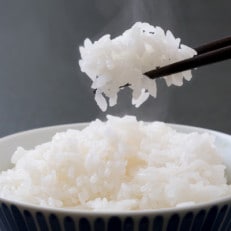 高根沢産[令和4年産]コシヒカリ 精米 10kg(5kg×2袋)