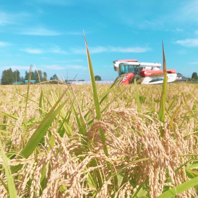 【さとふる限定】令和7年産「ゆうだい21」精米5kg