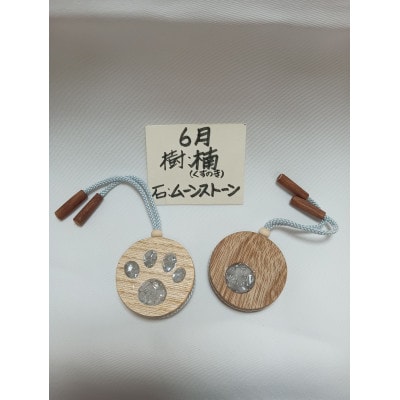 ペットの手元供養の遺骨のパウダー加工(散骨用)+遺骨アクセサリーまるまる