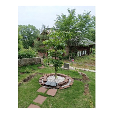 ペットの手元供養 の遺骨のパウダー加工+合同葬埋葬+遺骨アクセサリー(雲形チャーム)