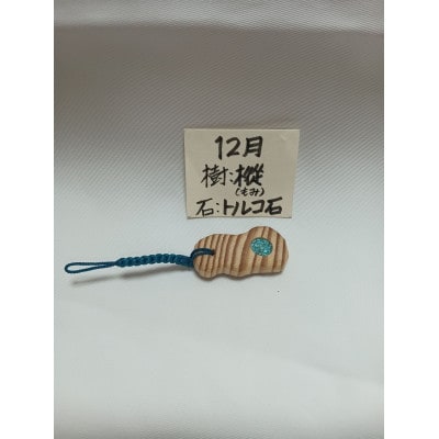 ペットの手元供養 の遺骨のパウダー加工+合同葬埋葬+遺骨アクセサリー(雲形チャーム)