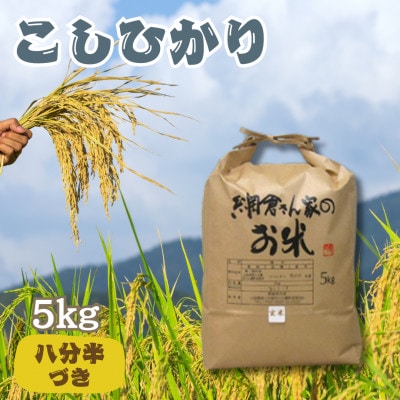 【令和6年産】網倉さん家のお米　こしひかり　八分半づき　精米　5kg