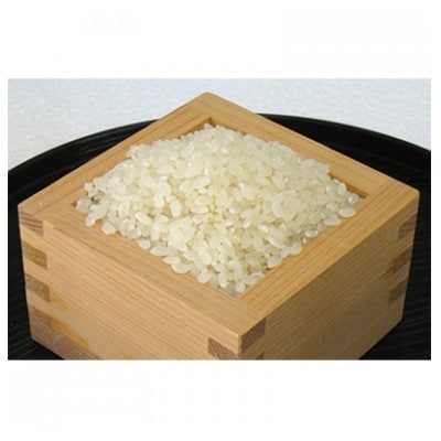 【令和6年産】網倉さん家のお米　こしひかり　八分半づき　精米　5kg
