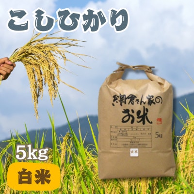 【令和6年産】網倉さん家のお米　こしひかり　白米　5kg