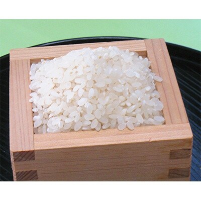 【令和6年産】網倉さん家のお米　こしひかり　白米　5kg