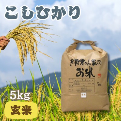 【令和6年産】網倉さん家のお米　こしひかり　玄米　5kg