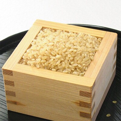 【令和6年産】網倉さん家のお米　こしひかり　玄米　5kg