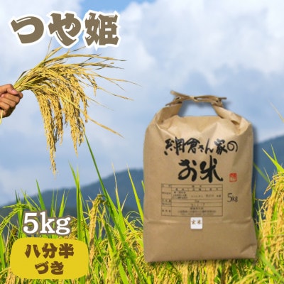 【令和6年産】網倉さん家のお米　つや姫　八分半づき　精米　5kg
