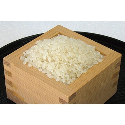【令和6年産】網倉さん家のお米　つや姫　八分半づき　精米　5kg