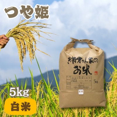 【令和6年産】網倉さん家のお米　つや姫　白米　精米　5kg