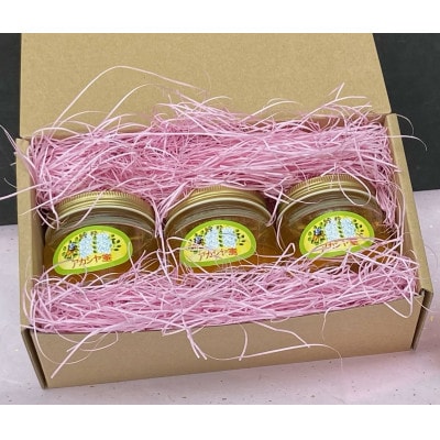 【山梨県市川三郷町産はちみつ】純度100%の天然アカシア蜂蜜　150g×3本セット