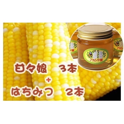 【先行受付】果物のような甘さの甘々娘(とうもろこし)3本(約1kg)+アカシアはちみつ2本セット