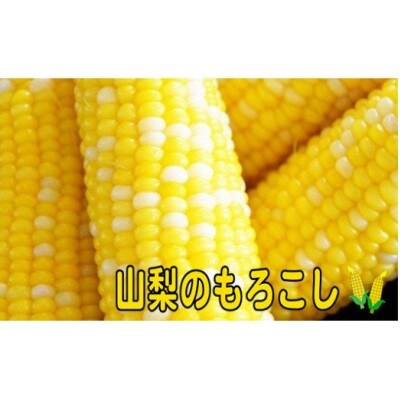 果物より甘い!市川三郷町産　甘々娘(とうもろこし)5本入り　1本350g以上!