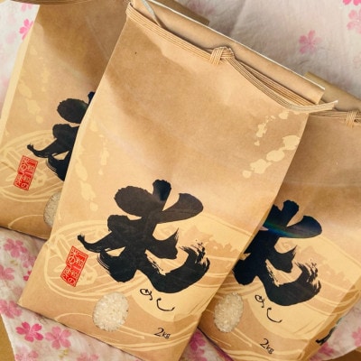 【令和4年産】山梨県市川三郷町産　ヒノヒカリ　6kg(白米)