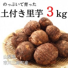 大塚ニンジンと同じ肥沃土壌「のっぷい」で育った、土付き里芋3kg(大小混合)