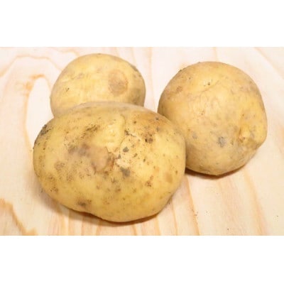 【先行受付】男爵よりも甘い!新じゃが(キタアカリ)4.5kg(大小混合)