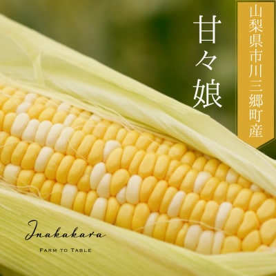 【山梨県市川三郷町産】Inakakara　プレミアム「甘々娘」10本入