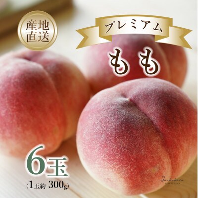 山梨県市川三郷町産】Inakakara プレミアム 桃 6玉 | 山梨県市川 山梨県市川三郷町産】Inakakara プレミアム 桃 6玉 | 山梨県市川