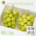 Inakakara厳選! 市川三郷産「秀品 シャインマスカット」2房(1房約550g)
