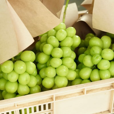Inakakara厳選! 市川三郷産「秀品 シャインマスカット」4房(1房約550g)