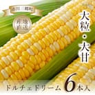 【市川三郷町産】Inakakara ドルチェドリーム　6本入り