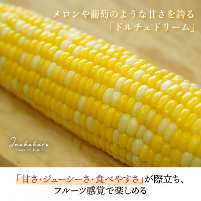 【市川三郷町産】Inakakara ドルチェドリーム　6本入り