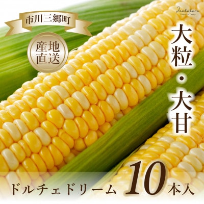 【市川三郷町産】Inakakara ドルチェドリーム　10本入り