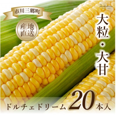 【市川三郷町産】Inakakara ドルチェドリーム　20本入り