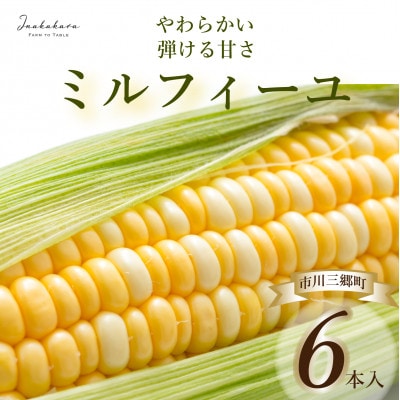 【市川三郷町産】Inakakara ミルフィーユ　6本入り