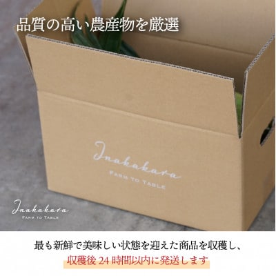 【市川三郷町産】Inakakara ミルフィーユ　6本入り