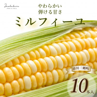 【市川三郷町産】Inakakara ミルフィーユ　10本入り