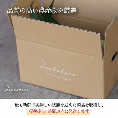 【市川三郷町産】Inakakara ミルフィーユ　10本入り