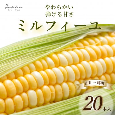 【市川三郷町産】Inakakara ミルフィーユ　20本入り