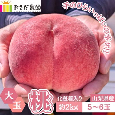 【2026年先行受付】山梨県産 朝採れ直送!厳選 おさだ農園の桃 大玉 5~6玉 約2kg　