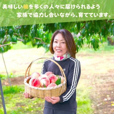 【2026年先行受付】山梨県産 朝採れ直送!厳選 おさだ農園の桃 大玉 5~6玉 約2kg　