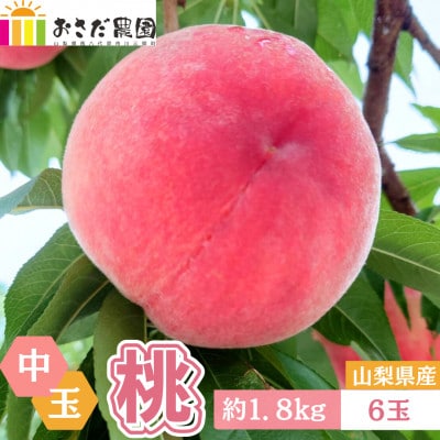 【2026年先行受付】山梨県産 朝採れ直送!厳選　おさだ農園の桃　中玉 6玉　約1.8kg