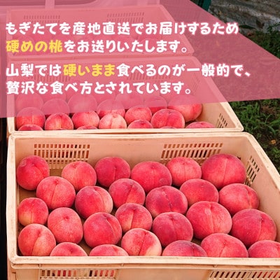 【2026年先行受付】山梨県産 朝採れ直送!厳選　おさだ農園の桃　中玉 6玉　約1.8kg