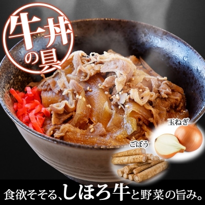 北海道 道の駅 しほろ牛 牛丼の具 160g×4パック 牛肉と野菜の旨味 十勝 士幌【L45】
