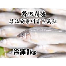 野田村産 清流安家川育ちの美鮎 1kg