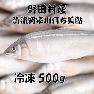 野田村産　清流安家川育ち美鮎　500g