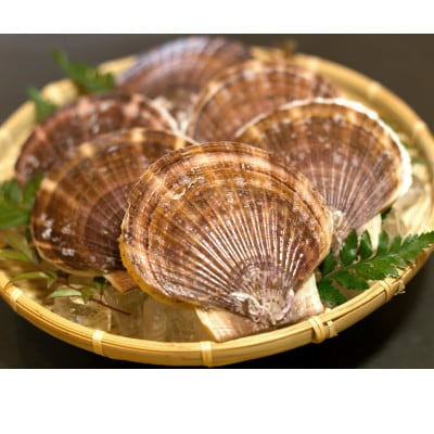 【数量限定～12/31まで受付!】岩手 野田村 荒海ホタテ 1kg(8～10枚入り)殻付き ヘラ付き